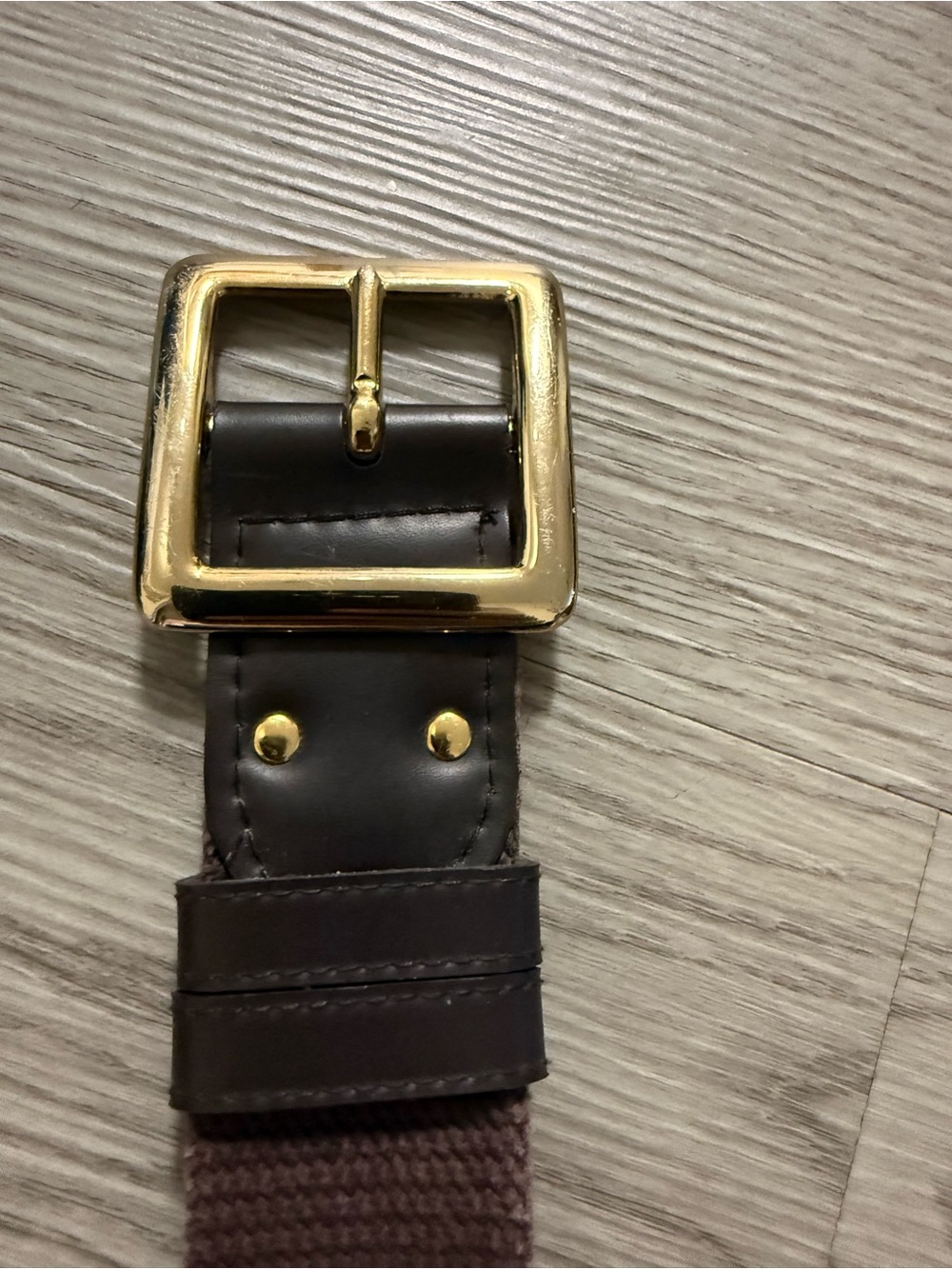 Browne Etienne Aigner Belt with A Gold-toned Buckle and A Fabric Strap Size M